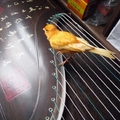 我的相册